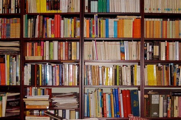 Золотая книжная полка Игоря Манна, или как читать 100 книг в год
