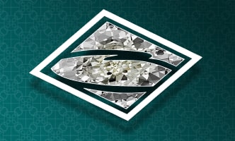 Иллюстрация к пакету предлагаемых условий